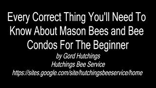 Every Correct Thing Youll Need To Know About Mason Bees and Bee Condos For The Beginner [upl. by Whelan878]