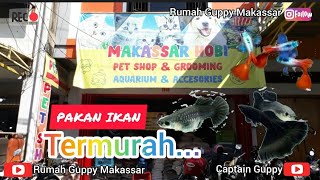 Termurah  Aquarium Accesories PET SHOP amp Groming  berkunjung di MAKASSAR HOBI [upl. by Leitnahs913]