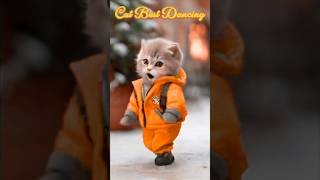 Cute Cat Dancing Video 😺😍 cat dog dogdance catdance [upl. by Fink975]