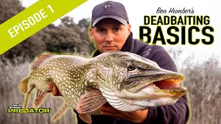 PIKE DEADBAITING BASICS PT1 Learn to fish for pike using deadbaits pike fishing tutorial [upl. by Dachy]