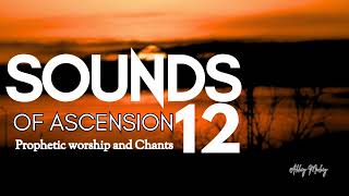 Sounds of ascension  Elohim Adonai  Deep soaking worship  More than a song  Yahweh  Sabaoth [upl. by Yevoc]