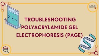 Troubleshooting Polyacrylamide Gel Electrophoresis PAGE [upl. by Cassondra944]