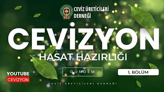 CEVİZYON 1 BÖLÜM TANITIM Cevizyon Ceviz CevizÜreticileriDerneği [upl. by Alister]