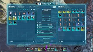 ARK Survival Ascended  Official PvP Server 2359  Running Alpha Dragon [upl. by Naitirb427]