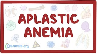 Aplastic anemia  an Osmosis Preview [upl. by Natsirhc]