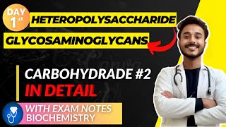 heteropolysaccharide biochemistry  glycosaminoglycans biochemistry mucopolysaccharide biochemistry [upl. by Anairo]