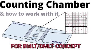 NEUBAR COUNTING CHAMBER BMLTDMLT  PATHOLOGY COURSE 202324 [upl. by Annayram]