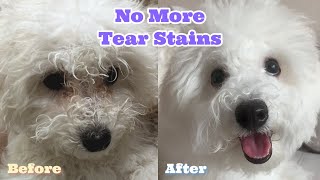 Moms Secrets to Removing Tear Stains Puppy Reveals [upl. by Moscow]