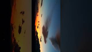 Sunset in the wind  from Japanese Beech Hill  Short Shorts shortsvideo [upl. by Darrej]