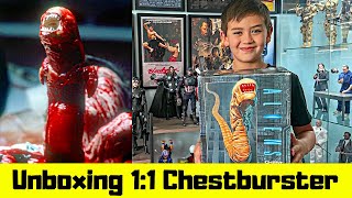 Unboxing 11 Scale Chestburster [upl. by Aipotu790]