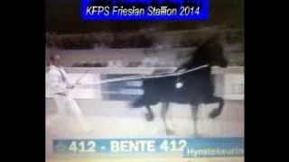 KFPS Friesian Stallion BENTE 412 Hengstenkeuring 2014 [upl. by Areyk]