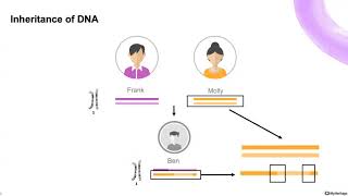 Working with DNA segments on MyHeritage [upl. by Audres]