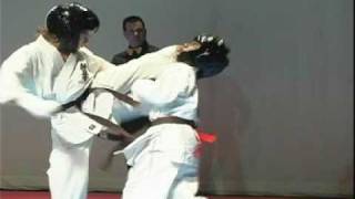 Karate kyokushin fight ko  kicks [upl. by Cathlene980]