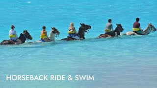 Horseback Ride N Swim  Shore Excursion  NCL [upl. by Anelys646]