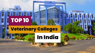 Top 10 veterinary colleges in india  veterinary colleges fee amp courses  vci admission [upl. by Innavoeg315]