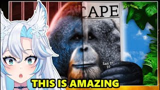 The Ultimate Escape Artist The Ape That Couldnt Be Contained  Joeseppi React [upl. by Hu500]