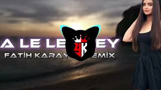 A Le Ley Ley  TikTok Remix  2024 [upl. by Lleznov931]