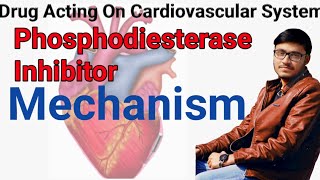 Phosphodiesterase Inhibitor Mechanism [upl. by Carbrey]