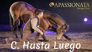 10 Jahre APASSIONATA  quotFreunde für immerquot  Freiheitsdressur  Hasta Luego  Arena Chemnitz HD [upl. by Arakahs771]