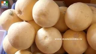 Cantaloupe Juice Recipe  MUSK MELON JUICE  KARBUJA JUICE  HEALTHY STREET FOODS street food [upl. by Zetnas]