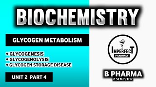 Glycogen Metabolism Pathway  Glycogenesis  Glycogenolysis  Glycogen Storage Disease  B Pharma [upl. by Ednil]