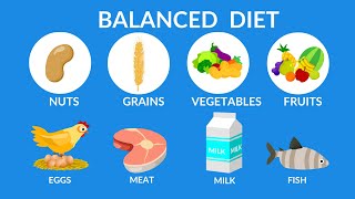 Balanced Diet  Best food for health [upl. by Ahsemed448]