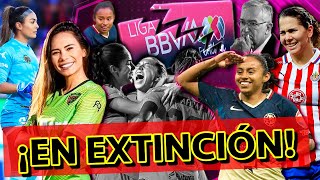 ¡HIPÓCRITAS SENADO OBLIGA A LA LIGA MX FEMENIL A PAGAR MAS A SUS JUGADORAS  Los Expulsados [upl. by Bowles43]