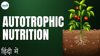 Life Processes  Lesson 02  Autotrophic Nutrition  in Hindi हिंदी में   Infinity Learn [upl. by Nyrraf]