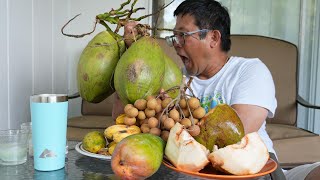 Tropical Fruit Mukbang Clearwater FL  Egg Fruit Sapote Coconut Home grown mangoes [upl. by Lucic]