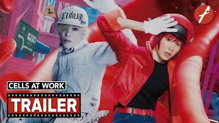 Cells at Work 2024 はたらく細胞  Movie Trailer  Far East Films [upl. by Aleet311]