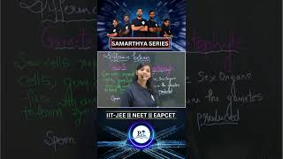 Difference between Gamete and Gametophytes education trending highschoolclasses [upl. by Kiona]