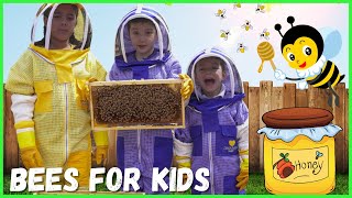 Learn About Bees for Kids  Pollination for Kids  Beekeeping for Kids [upl. by Leeanne]