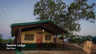 Sentrim Tsavo Lodge Is Located In Tsavo East National Park Where The waterhole Is Visited By Animals [upl. by Kiyohara]