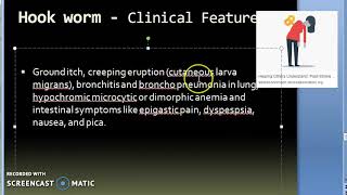 Parasitology 200 c Hookwormancylostoma duodenalepathogenecityclinicalfeaturesdimorphic anemia [upl. by Kirstyn]