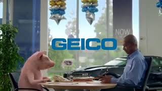 Funny Commercials Maxwell the Pig GEICO Insurance Commercial Collection [upl. by Raffarty]