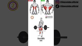 Ultimate back training for lats [upl. by Iris]