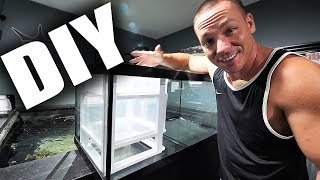 HOW TO Build a simple aquarium sump  The King of DIY [upl. by Teresa]