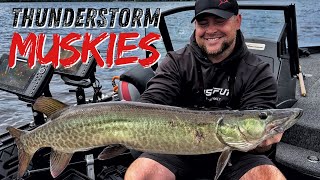 Catching Muskies on Glide Baits and Topwater  Northern Wisconsin 2024 [upl. by Adlez727]