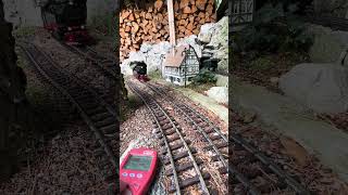 train spurg gardenrailway lgb modeltrains railway Piko Shorts Modellbahn gartenbahn [upl. by Burney928]