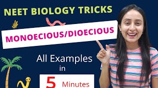 Easiest Trick to Learn Monoecious Hermaphrodites  All NCERT Examples  NEET BIOLOGY [upl. by Whitby]