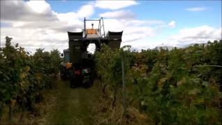 Pellenc 8050 Harvesting Machine [upl. by Conway]