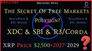 RippleXRPPolysignSpot BTCETFs News XDC amp SBIXRP To 2500 In 20272029 [upl. by Nehepts133]