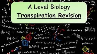 A Level Biology Transpiration revision [upl. by Odey343]