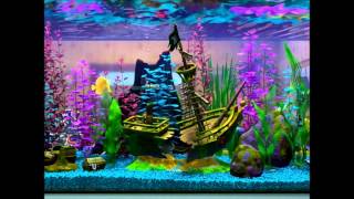 Finding Nemo Virtual Aquarium Shipwreck Day [upl. by Arratal]