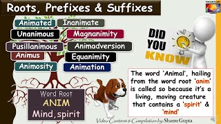 Root Word ANIM and derived words Illustrated Vocabulary through Roots Prefixes and Suffixes [upl. by Nelyt776]