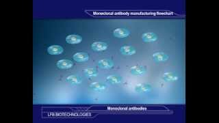 Monoclonal antibody manufacturing [upl. by Tirrej695]