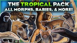 FULL OVERVIEW  Planet Zoos Tropical Pack Animals [upl. by Eyaj]