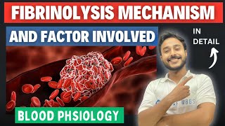 Fibrinolysis physiology  Thrombolysis physiology  Thrombolytic system  physiology [upl. by Ahsinnod688]