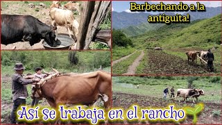 Tres días de trabajo 🌱🌾  Llevándole sal a las vacas🐂  1 de 2  vidaderancho [upl. by Deste]