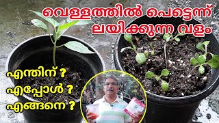 വെള്ളത്തിൽ ലയിക്കുന്ന വളം NPK191919 Water Soluble Fertilizer for Plants When and how to use it [upl. by Cort]